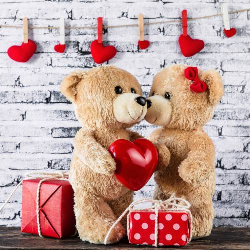 Teddy Day Status Videos