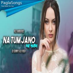 Na Tum Jaano Na Hum (Remix) DJ Sunny, DJ Yash Poster