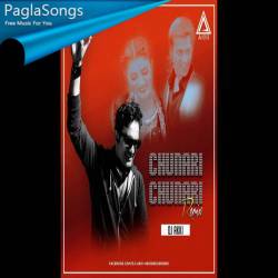 CHUNARI CHUNARI (REMIX) DJ AKKI Remix Full Songs Poster