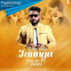 Tera Ban Jaunga Remix   Dj Candy Poster