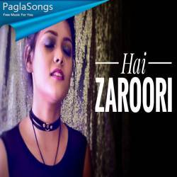 Hai Zaroori   Noor (Cover) Poster