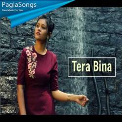 Tere Bina Cover  Poster