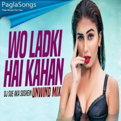 Wo Ladki Hai Kahan (Unwind Mix) DJ SUE Aka Sushein Poster