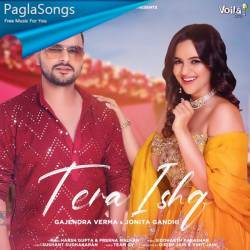 Tera Ishq Poster