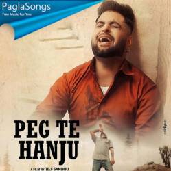 Peg Te Hanju Poster