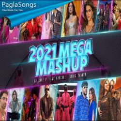 Best Of 2021 Mega Mashup Poster