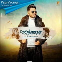 Pashmeene Poster