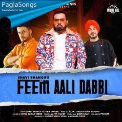 Feem Aali Dabbi Poster