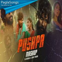 Pushpa Mashup 2022 Poster