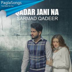 Qadar Jani Na Poster