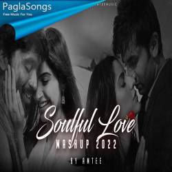 Soulful Love Mashup 2022 Poster