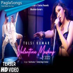 Tulsi Kumar's Valentine Mashup 2022 Poster