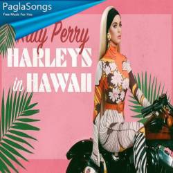 Harleys In Hawaii Ringtone Poster