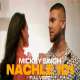 Nachle 101 Poster