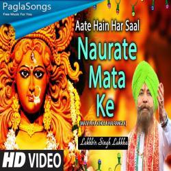 Aaye Navrate Mata Poster