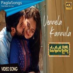 Vennela Kannula Poster