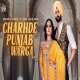 Charhde Punjab Warga Poster