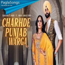 Charhde Punjab Warga Poster