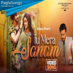 Tu Mera Sanam Poster