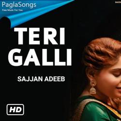 Teri Galli Poster