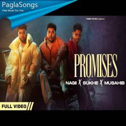 Promises   Sukh E Poster