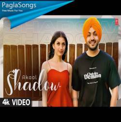 Shadow   Akaal Poster