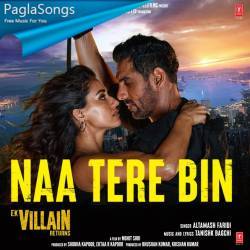 Naa Tere Bin Poster