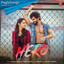 Hero   Sandeep Surila Poster