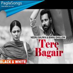 Tere Bagair Poster