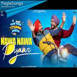 Nawa Nawa Pyaar Poster