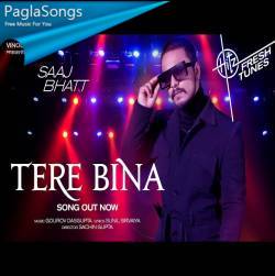 Tere Bina   Saaj Bhatt Poster