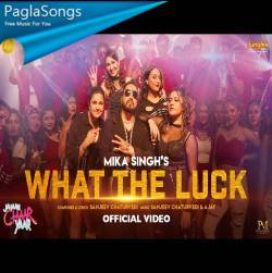 What The Luck Poster