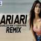 Ari Ari (Remix)   Shameless Mani X Yogesh Patel