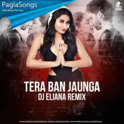 Tera Ban Jaunga (Remix)   DJ Eliana Poster