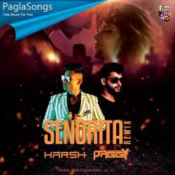 Senorita Remix   DJ Harsh Mahant x DJ Paggy Poster