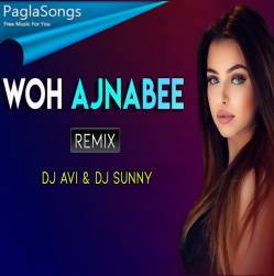 Woh Ajnabee Remix   DJ Sunny n DJ Avi Poster