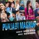 Punjabi Love Mashup 2020