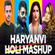 Haryanvi Holi Mashup Poster