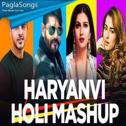 Haryanvi Holi Mashup Poster