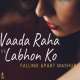 Vaada Raha x Labhon Ko (Falling Apart Chillout Mashup)