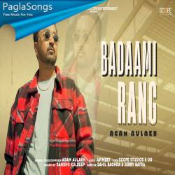 Badaami Rang Poster