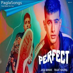 Perfect Jass Manak Poster