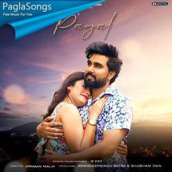 Pagal S Kay Poster