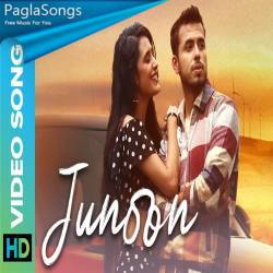 Junoon Shaurya Khare Poster