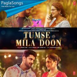 Tumse Mila Doon Poster