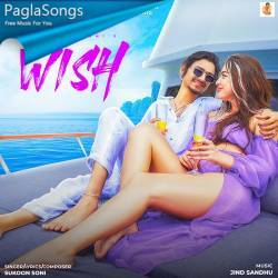 Wish Sukoon Soni Poster