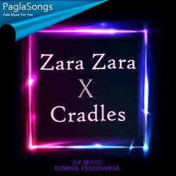 Zara Zara X Cradle Vaseegara Poster