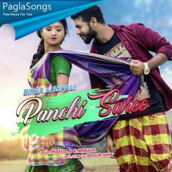 Panchi Saree Poster