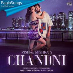 Chandni Poster