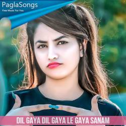 Dil Gaya Dil Gaya Le Gaya Sanam Poster